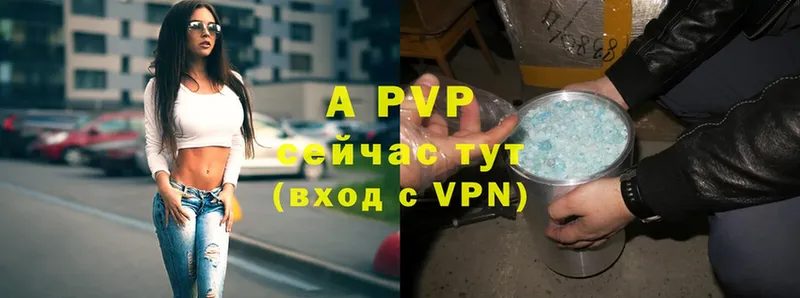 A PVP СК  Кореновск 